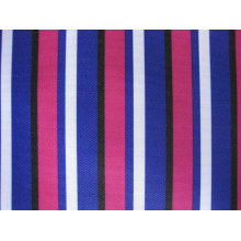 Oxford 900d Stripes Printing Polyester Fabric (WS017)